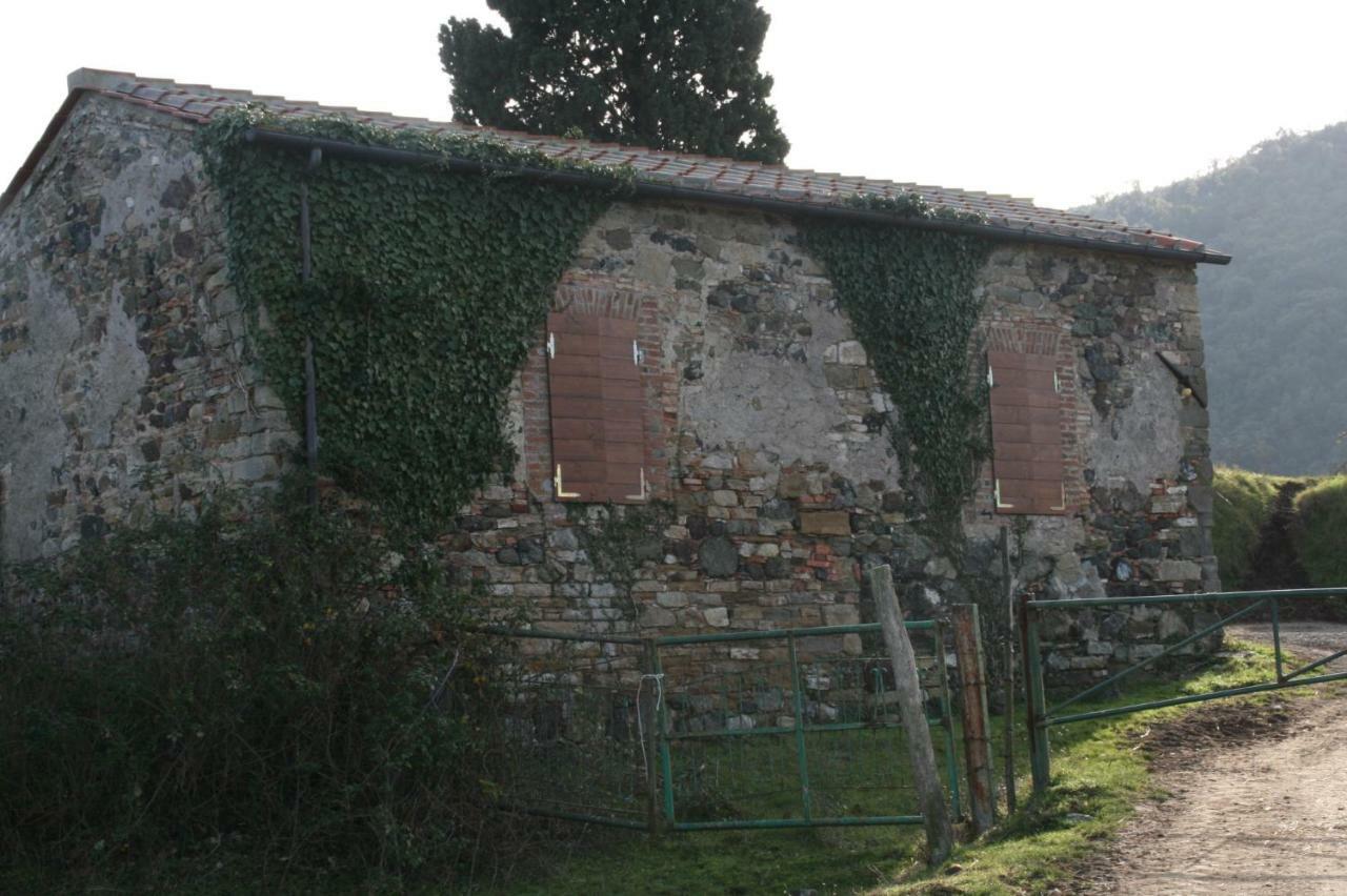 Farmhouse Tuscany Montecastelli Pisano Buitenkant foto