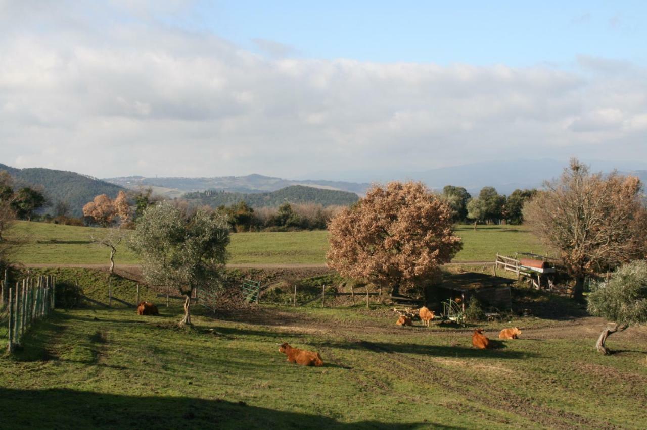 Farmhouse Tuscany Montecastelli Pisano Buitenkant foto