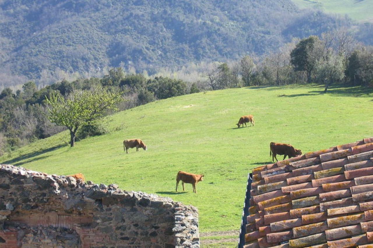 Farmhouse Tuscany Montecastelli Pisano Buitenkant foto